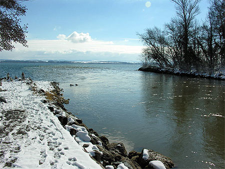 Embouchure de l'areuse sous la neige