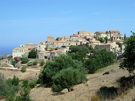 Pigna