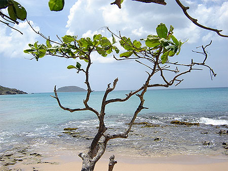 Plage de Clugny
