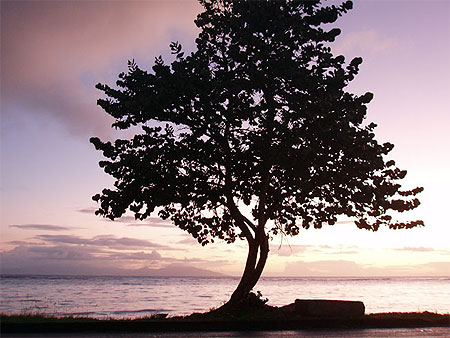 Marie Galante