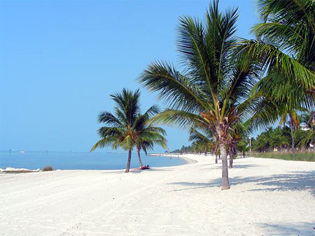 Plage d�serte