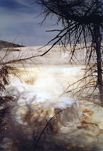Mammoth Hot Springs