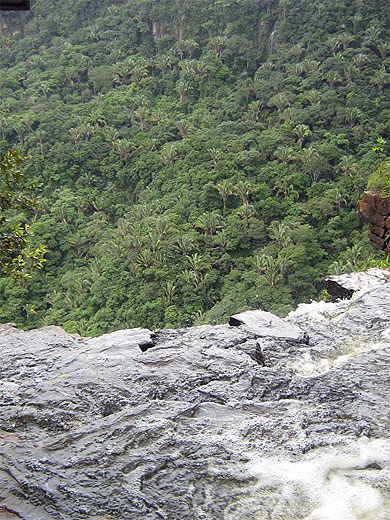 A l'origine de la cascade