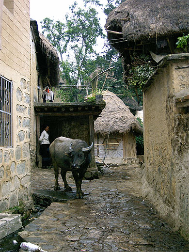 Au village