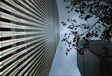 Ground zero avant