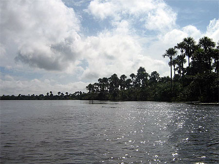 Rio Pregui�a (Paresse)