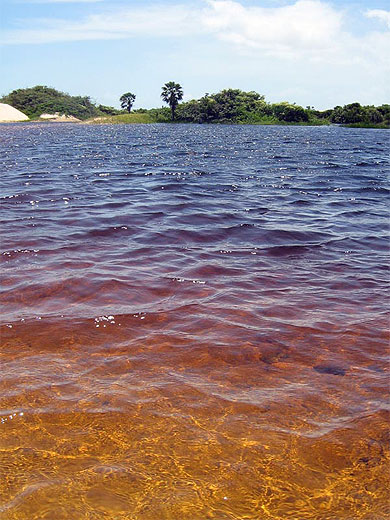 Lagoa vue de pr�s, de tr�s pr�s