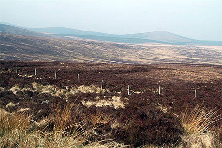 Sur la route de Glendalough