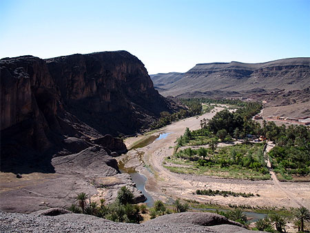 Oasis de Fint