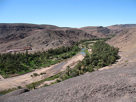 Oasis de Fint