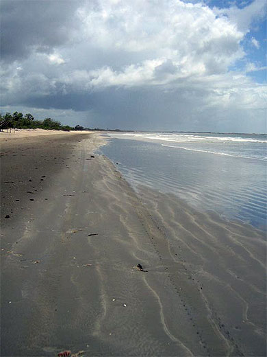 Sur la route de Jericoacoara