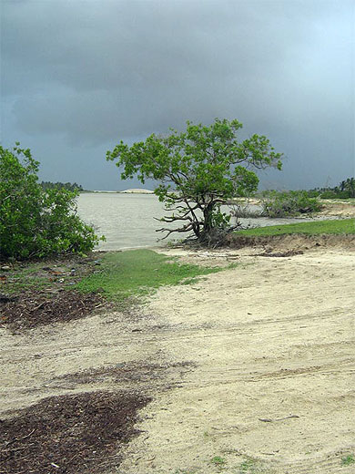 Sur la route de Jericoacoara
