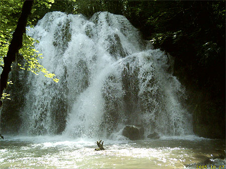 Cascade dans la for�t