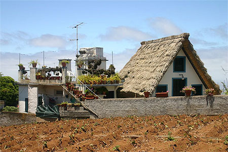 Maison au to�t de chaume