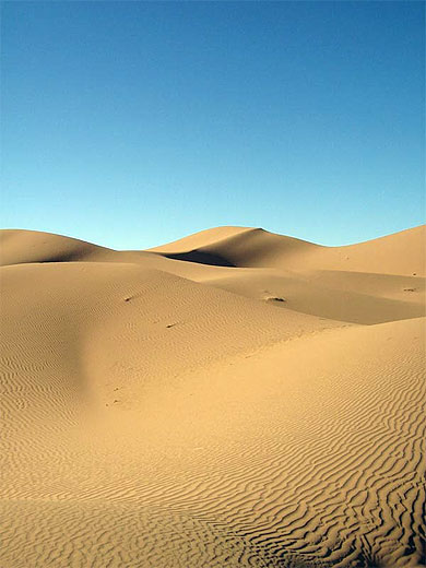 Ondulations du sable
