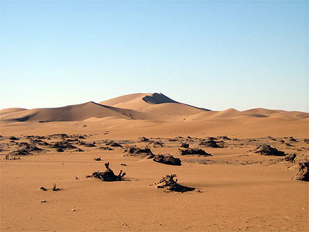 Derri�re les dunes le bivouak