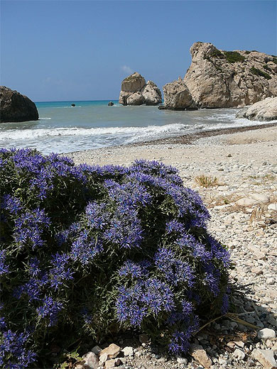Le rocher d'Aphrodite