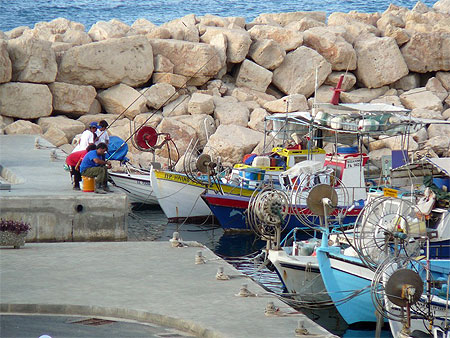 Petit port 
