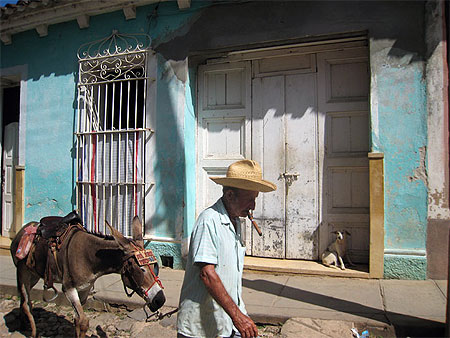 Un �ne � Trinidad