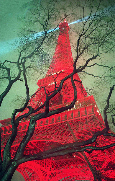 Eiffel de Chine, �file de ch�ne