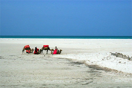 Djerba