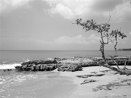 Plage de Clugny