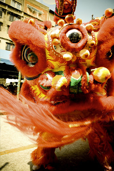 The dragon