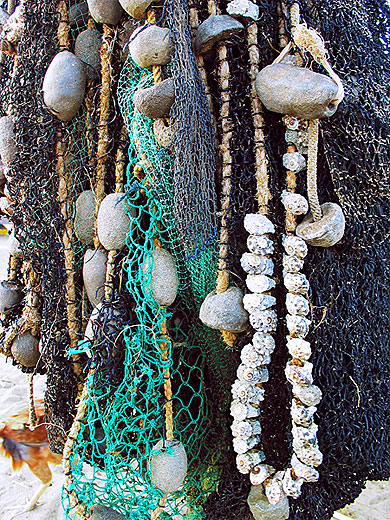Coquillages et filets, sur la plage abandonn�s...