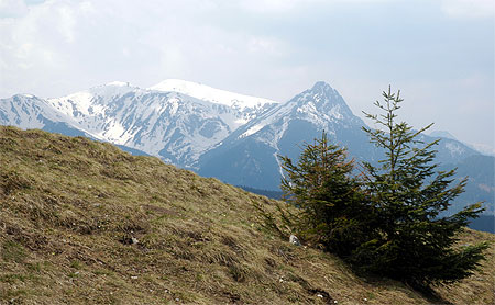 Tatras