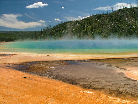 Yellowstone spring