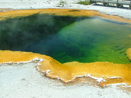 Yellowstone spring