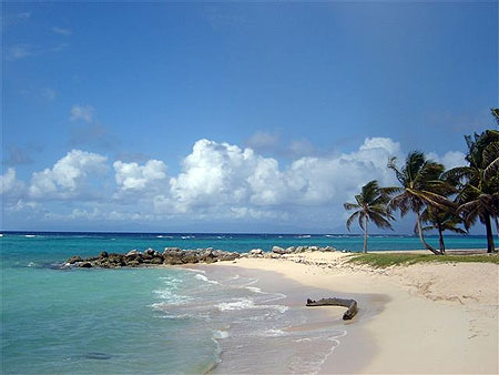 Plage de Capesterre