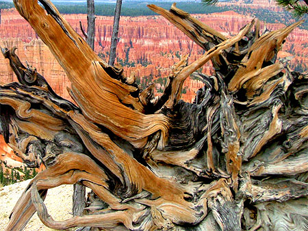 Bryce Canyon