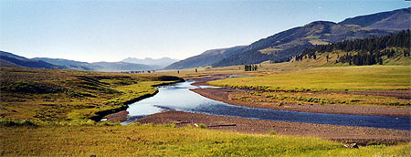Panorama sur la Lamar Valley