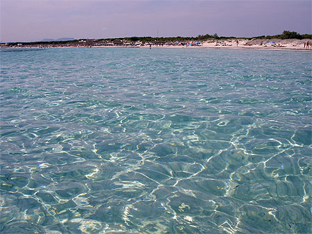 Plage d'Es Trenc au sud de l'�le