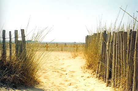 Plage � l'�tat pur