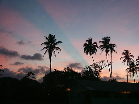 Rayons solaires