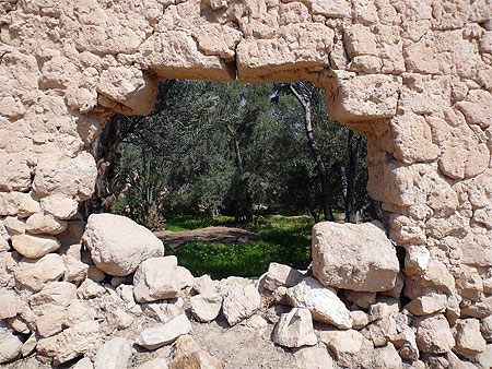 Petit d�tour par l'oasis de Palmyre