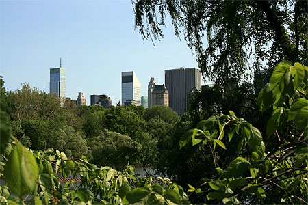 Central Park, la r�serve