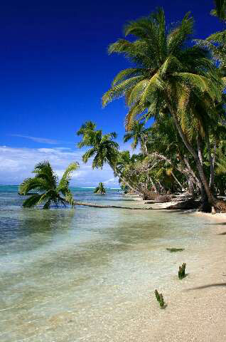 Plage de l'ile aux nattes