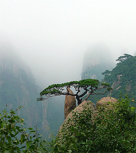 Montagnes HuangShan dans le brouillard