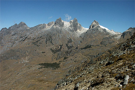 Paysage andin et bosquets de Polylepis