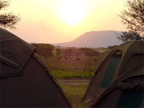 Les joies du camping en plein coeur du Serengeti