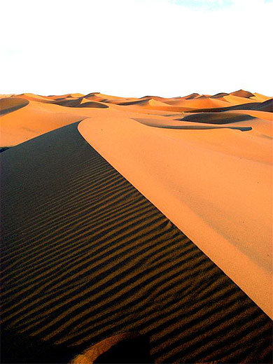 Mes dunes