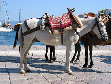 Transport traditionnel