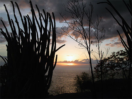 Anse � la barque