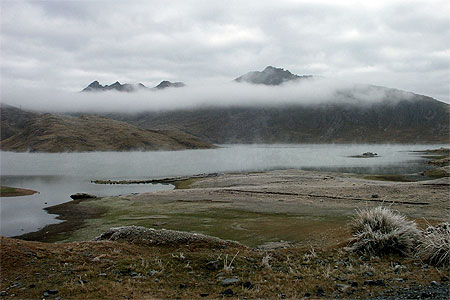 Brumes matinales