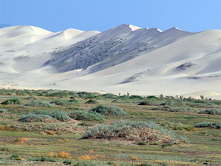 Gobi