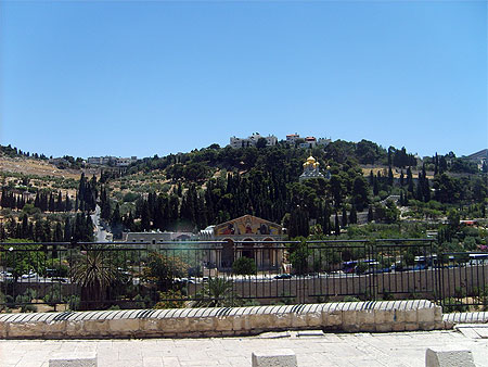 Le Mont des Oliviers