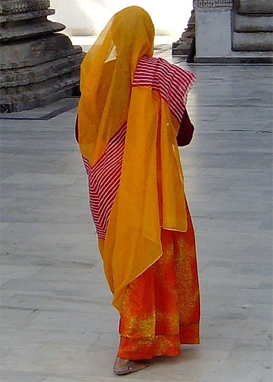 Sari